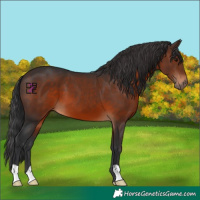 Horse Color:Brown 
