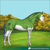 Horse Color:Painted Watercolor Liver Chestnut Splash 