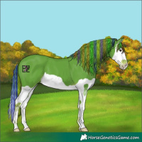 Horse Color:Painted Watercolor Liver Chestnut Splash