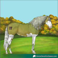 Horse Color:Watercolor Silver Bay Splash 