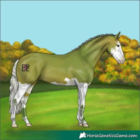 Horse Color:Watercolor Silver Bay Splash 