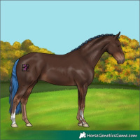 Horse Color:Painted Liver Chestnut 