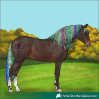 Horse Color:Painted Silver Brown Appaloosa