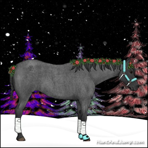 Horse Color:Blue Roan 