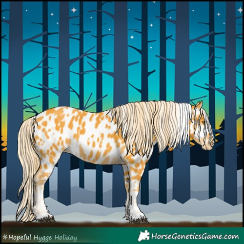 Horse Color:Palomino Near Leopard and Palomino Near Leopard