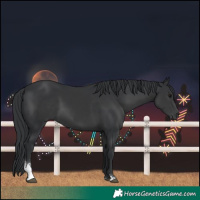 Horse Color:Unknown 