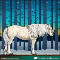 Horse Color:Palomino Appaloosa and Palomino Appaloosa