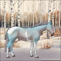 Horse Color:Watercolor Liver Chestnut Tobiano Rabicano 