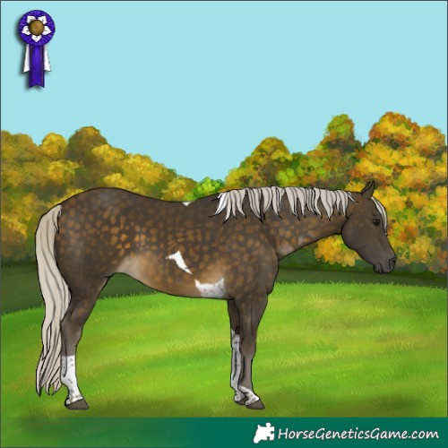 Horse Color:Silver Buckskin Tobiano 