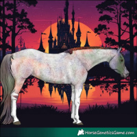 Horse Color:Nacre Liver Red Roan Tobiano 