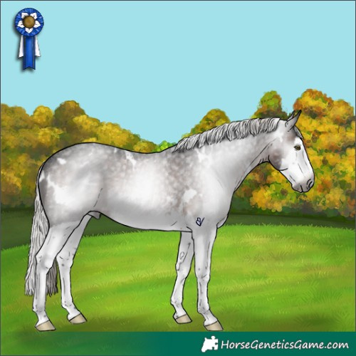 Horse Color:Gray White Spotted Silver Brown Roan Splash Rabicano 