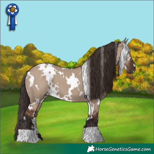 Horse Color:White Spotted Liver Red Dun 