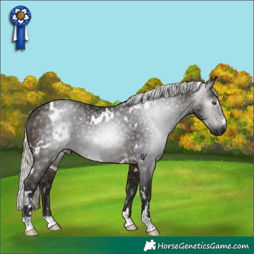 Horse Color:Gray White Spotted Silver Brown Rabicano 