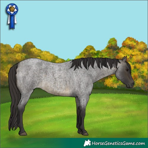 Horse Color:Buckskin Roan 