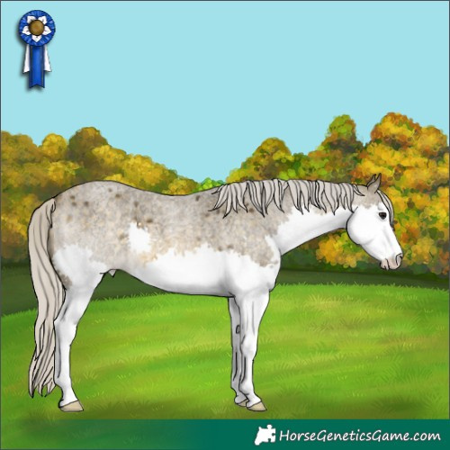 Horse Color:Silver Buckskin Roan Splash 