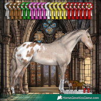 Horse Color:White Spotted Liver Red Dun Tobiano Appaloosa Rabicano 