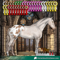 Horse Color:White Spotted Liver Red Dun Tobiano Appaloosa Rabicano