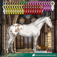 Horse Color:White Spotted Liver Red Dun Tobiano Appaloosa Rabicano 