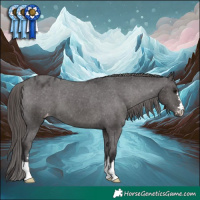 Horse Color:Smoky Black Appaloosa