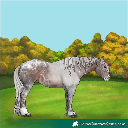 Horse Color:Silver Brown Ice Sabino Tobiano 