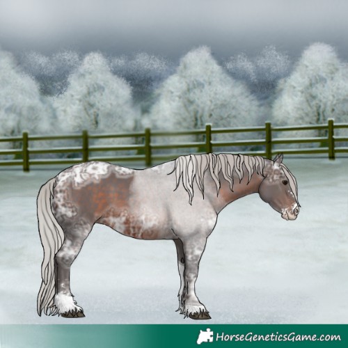 Horse Color:Silver Brown Ice Sabino Tobiano 