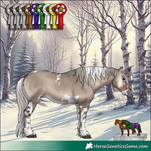 Horse Color:Silver Grullo Onyx Splash Tobiano