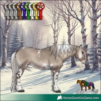 Horse Color:Silver Grullo Onyx Splash Tobiano