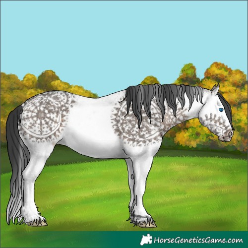 Horse Color:White Spotted Brown Dun Splash 