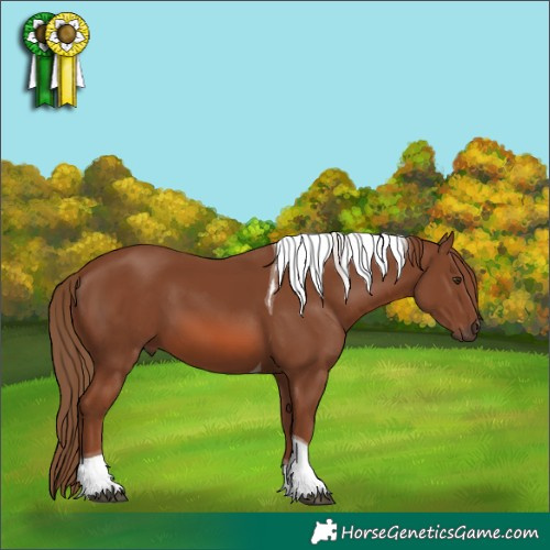 Horse Color:Chestnut Tobiano 