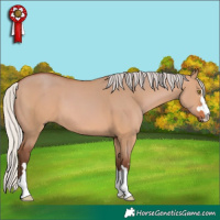 Horse Color:Silver Bay Dun 