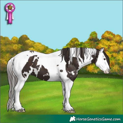 Horse Color:White Spotted Liver Chestnut Splash Tobiano 