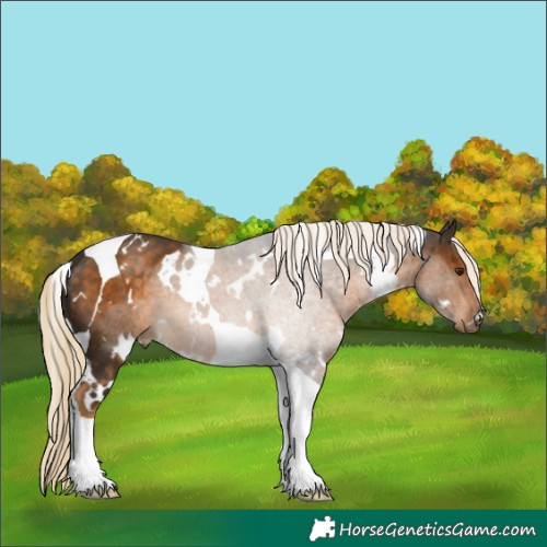 Horse Color:White Spotted Chocolate Palomino Tobiano 