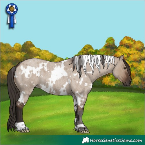 Horse Color:White Spotted Liver Red Dun Roan 