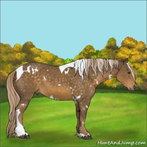 Horse Color:White Spotted Chocolate Palomino Tobiano 