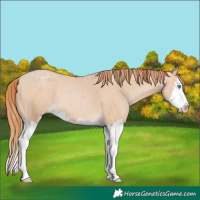 Horse Color:Perlino Splash and Buckskin Pearl Splash