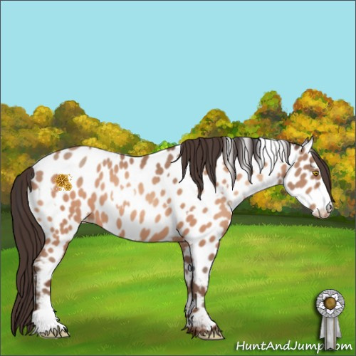 Horse Color:Amber Champagne Appaloosa  and Sable Champagne Appaloosa 