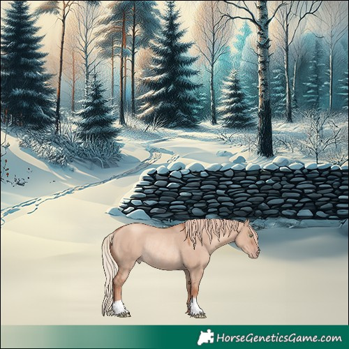 Horse Color:Gold Champagne Dun Rabicano 