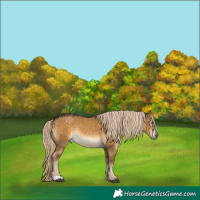 Horse Color:Chocolate Palomino Dun Mushroom 