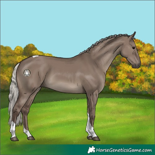 Horse Color:Silver Grullo Tobiano 