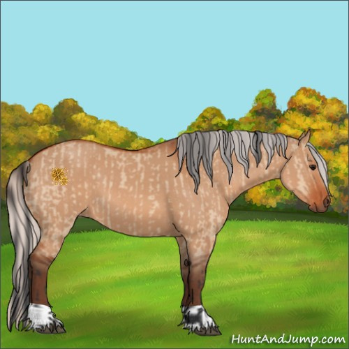Horse Color:Bay Dun  and Silver Bay Dun 