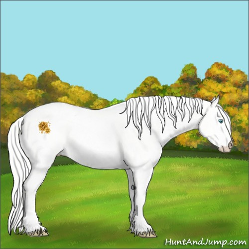 Horse Color:Cremello Dun 