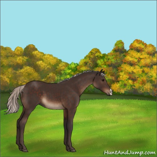 Horse Color:Silver Brown 