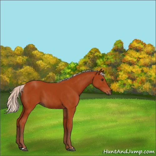 Horse Color:Silver Brown