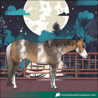 Horse Color:White Spotted Buckskin Varnish 