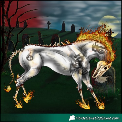 Horse Color:White Spotted Black Sabino Frame 