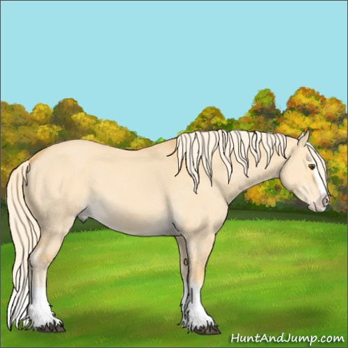 Horse Color:Palomino Dun Splash 
