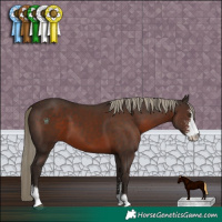 Horse Color:Liver Chestnut Sabino