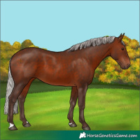 Horse Color:Silver Brown 