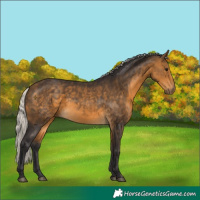 Horse Color:Silver Buckskin 