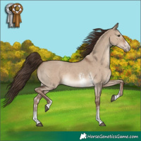 Horse Color:Liver Red Dun Sabino